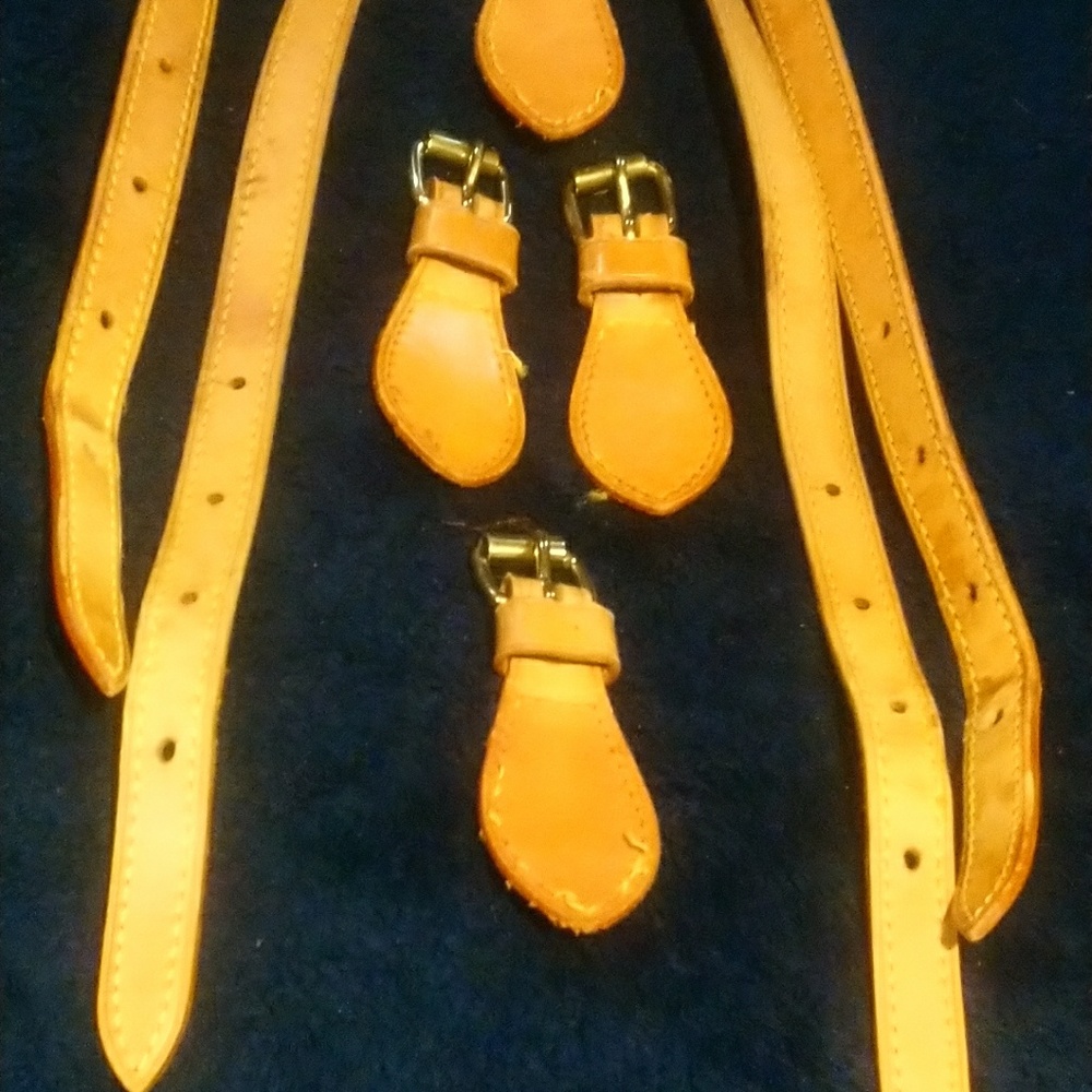 Louis Vuitton bucket pm chaps and strap